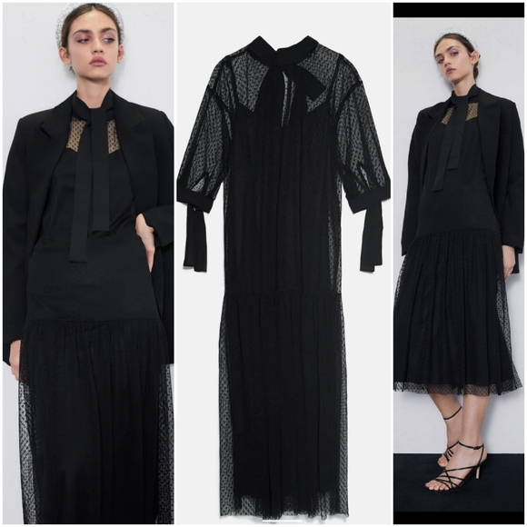 Zara swiss dotted mesh dress with ties - Picture 7 of 7